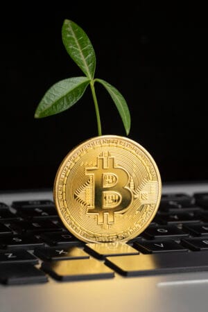 مالیات بیت کوینت