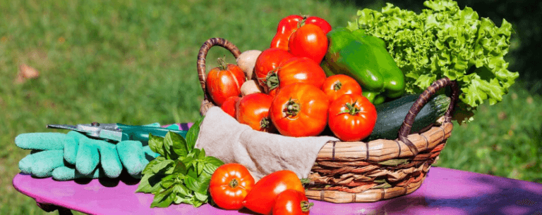 حذف شرط تازه بودن محصولات کشاورزی